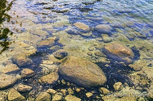 Clear Water_23241.jpg - Photographed along the Rideau Canal Waterway near Portland, Ontario, Canada.
